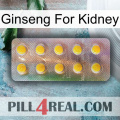 Ginseng For Kidney new11